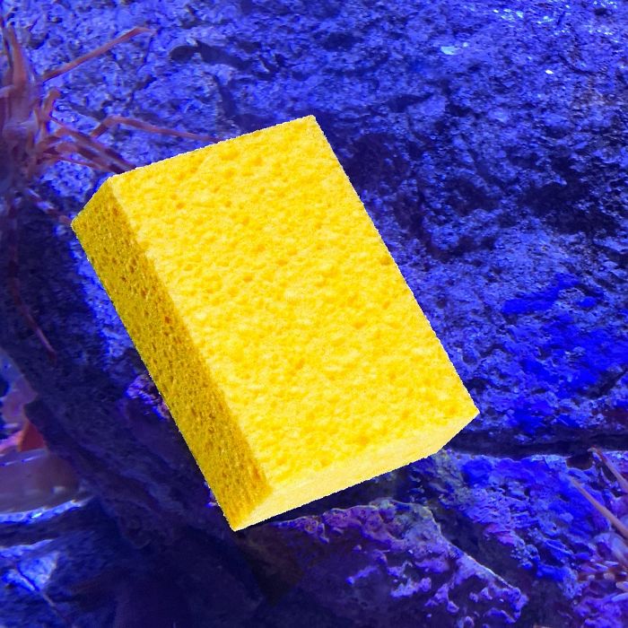 Patrick-Starfish-Photoshop-Battle