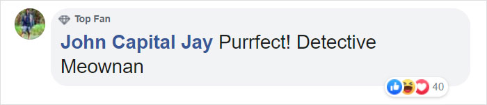 This Open-World Game Lets You Solve Mysteries As A Gang Of Cats This Open-World Game Lets You Solve Mysteries As A Gang Of Cats