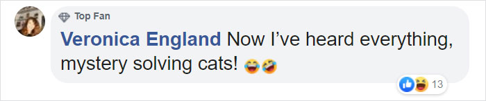 This Open-World Game Lets You Solve Mysteries As A Gang Of Cats This Open-World Game Lets You Solve Mysteries As A Gang Of Cats