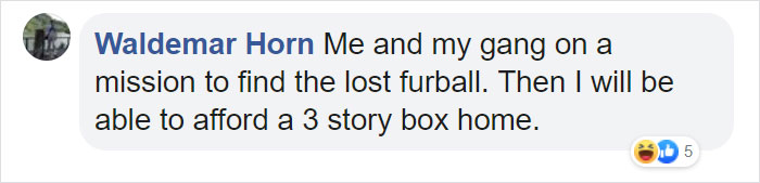 This Open-World Game Lets You Solve Mysteries As A Gang Of Cats