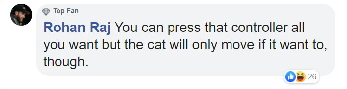 This Open-World Game Lets You Solve Mysteries As A Gang Of Cats This Open-World Game Lets You Solve Mysteries As A Gang Of Cats