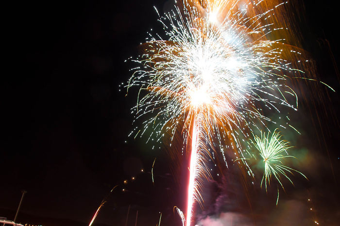 People Are Skipping 4th Of July Fireworks To Comfort Scared Shelter Dogs People Are Skipping 4th Of July Fireworks To Comfort Scared Shelter Dogs