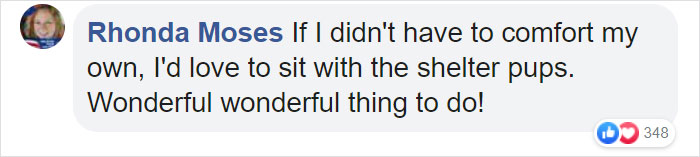 People Are Skipping 4th Of July Fireworks To Comfort Scared Shelter Dogs People Are Skipping 4th Of July Fireworks To Comfort Scared Shelter Dogs