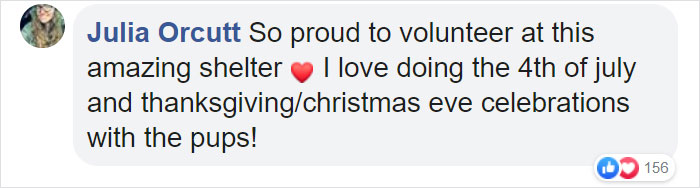 People Are Skipping 4th Of July Fireworks To Comfort Scared Shelter Dogs People Are Skipping 4th Of July Fireworks To Comfort Scared Shelter Dogs