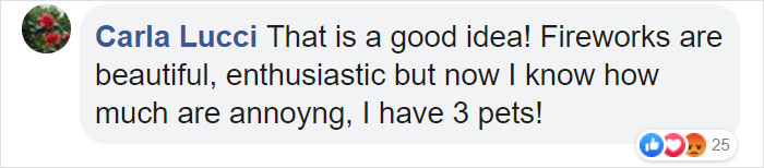 People Are Skipping 4th Of July Fireworks To Comfort Scared Shelter Dogs People Are Skipping 4th Of July Fireworks To Comfort Scared Shelter Dogs