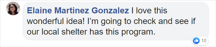 People Are Skipping 4th Of July Fireworks To Comfort Scared Shelter Dogs People Are Skipping 4th Of July Fireworks To Comfort Scared Shelter Dogs
