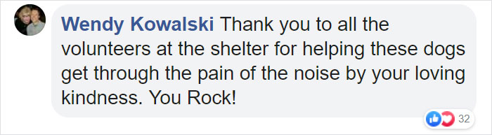 People Are Skipping 4th Of July Fireworks To Comfort Scared Shelter Dogs People Are Skipping 4th Of July Fireworks To Comfort Scared Shelter Dogs
