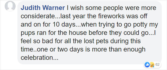 People Are Skipping 4th Of July Fireworks To Comfort Scared Shelter Dogs People Are Skipping 4th Of July Fireworks To Comfort Scared Shelter Dogs