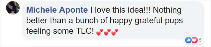 People Are Skipping 4th Of July Fireworks To Comfort Scared Shelter Dogs People Are Skipping 4th Of July Fireworks To Comfort Scared Shelter Dogs
