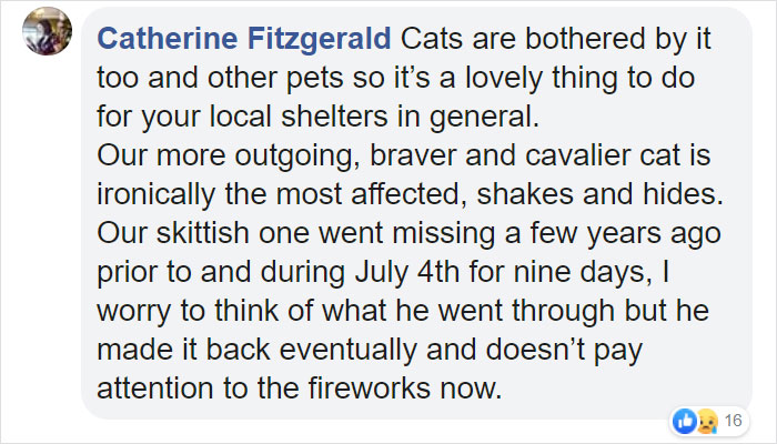 People Are Skipping 4th Of July Fireworks To Comfort Scared Shelter Dogs People Are Skipping 4th Of July Fireworks To Comfort Scared Shelter Dogs