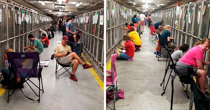 People Are Skipping 4th Of July Fireworks To Comfort Scared Shelter Dogs