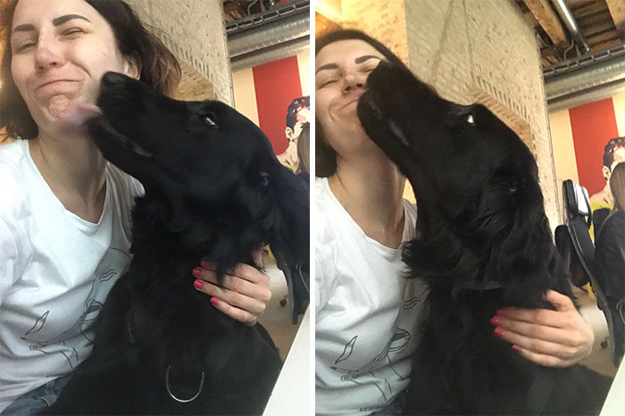Survey Finds Humans Kiss Their Dogs More Than Their Partners Survey Finds Humans Kiss Their Dogs More Than Their Partners