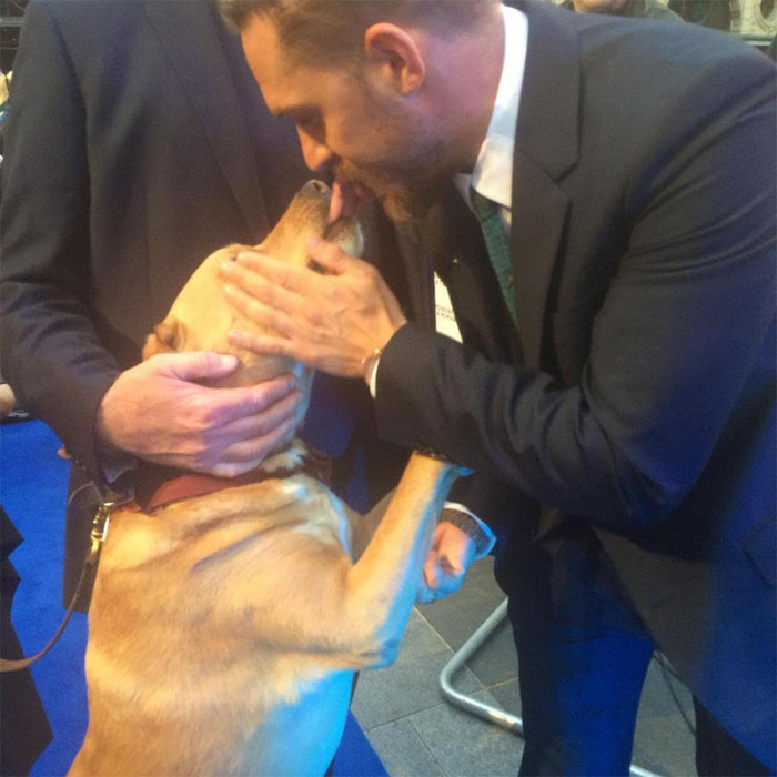 Survey Finds Humans Kiss Their Dogs More Than Their Partners