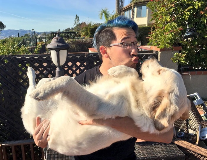 Survey Finds Humans Kiss Their Dogs More Than Their Partners Survey Finds Humans Kiss Their Dogs More Than Their Partners