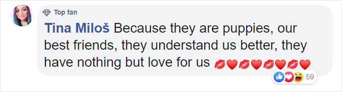 Survey Finds Humans Kiss Their Dogs More Than Their Partners Survey Finds Humans Kiss Their Dogs More Than Their Partners