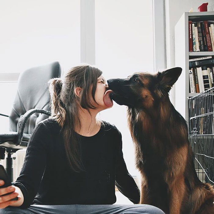 Survey Finds Humans Kiss Their Dogs More Than Their Partners
