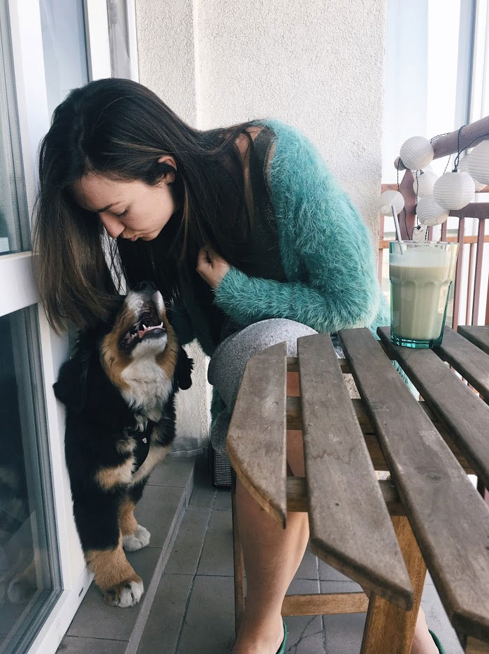 Survey Finds Humans Kiss Their Dogs More Than Their Partners Survey Finds Humans Kiss Their Dogs More Than Their Partners