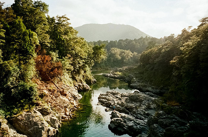 Pelorus River