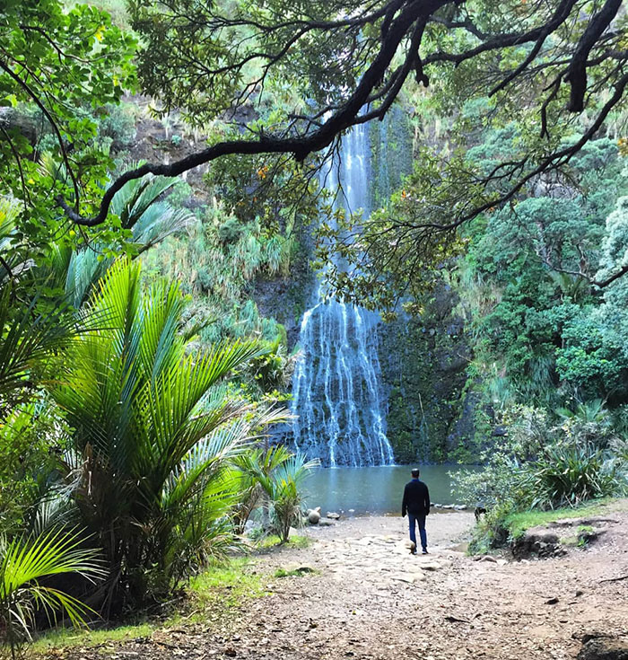Waitakere Ranges