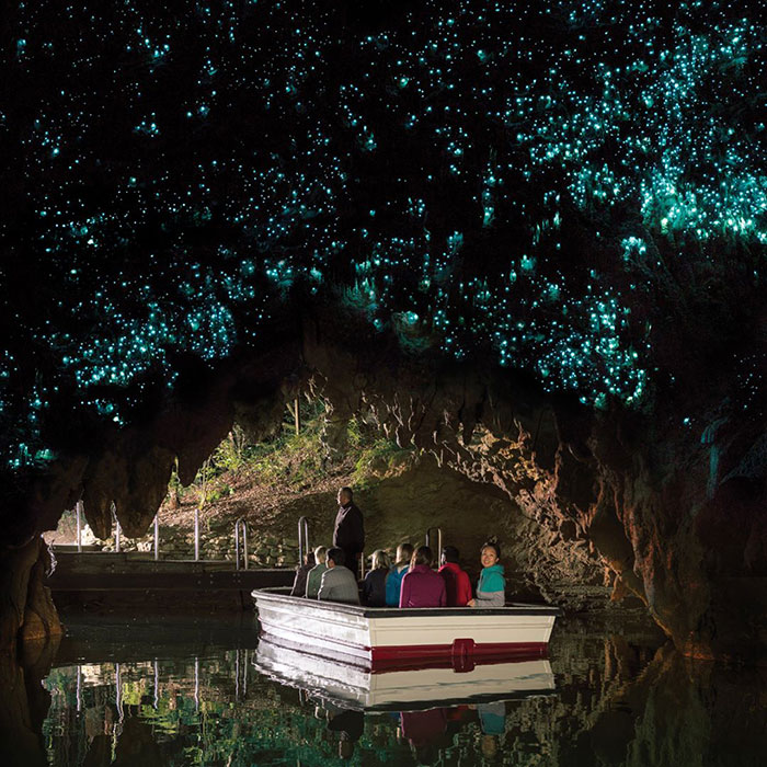 Waitomo Glowworm Caves