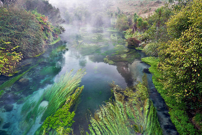 Blue Springs In Putaruru District
