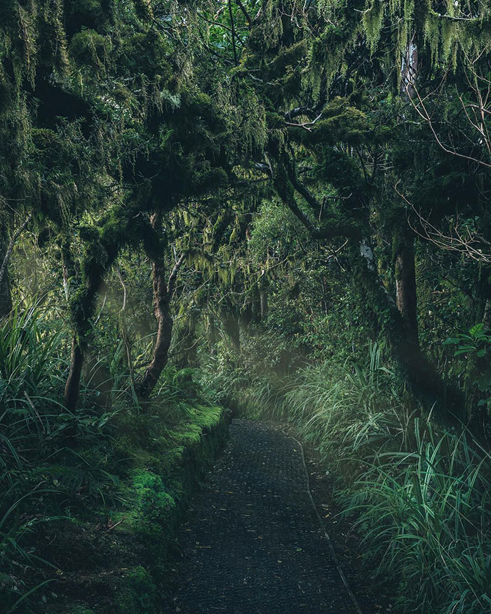 Egmont National Park