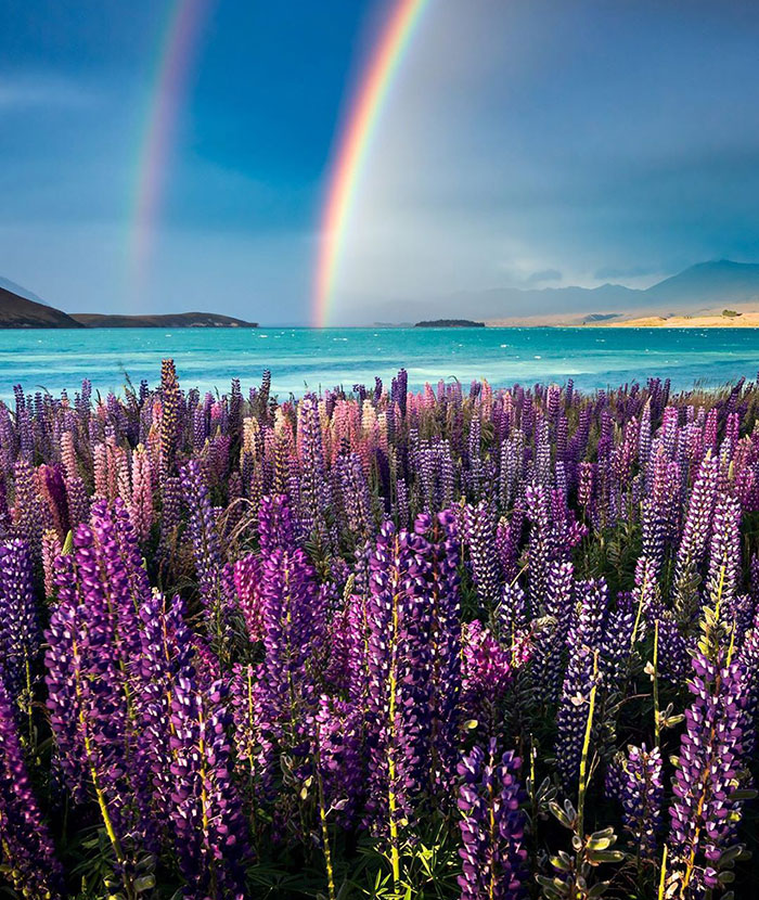 Lake Tekapo