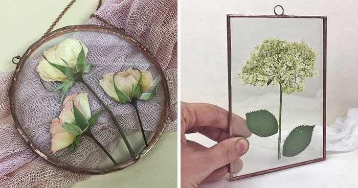 Three Years Ago, I Picked Up A New Hobby Of Making Flower Herbariums And Here Is My Progress So Far (26 Pics)