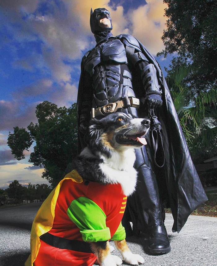 This Guy Dresses Up As Batman To Save Shelter Animals From Euthanasia And Find Them Loving Families
