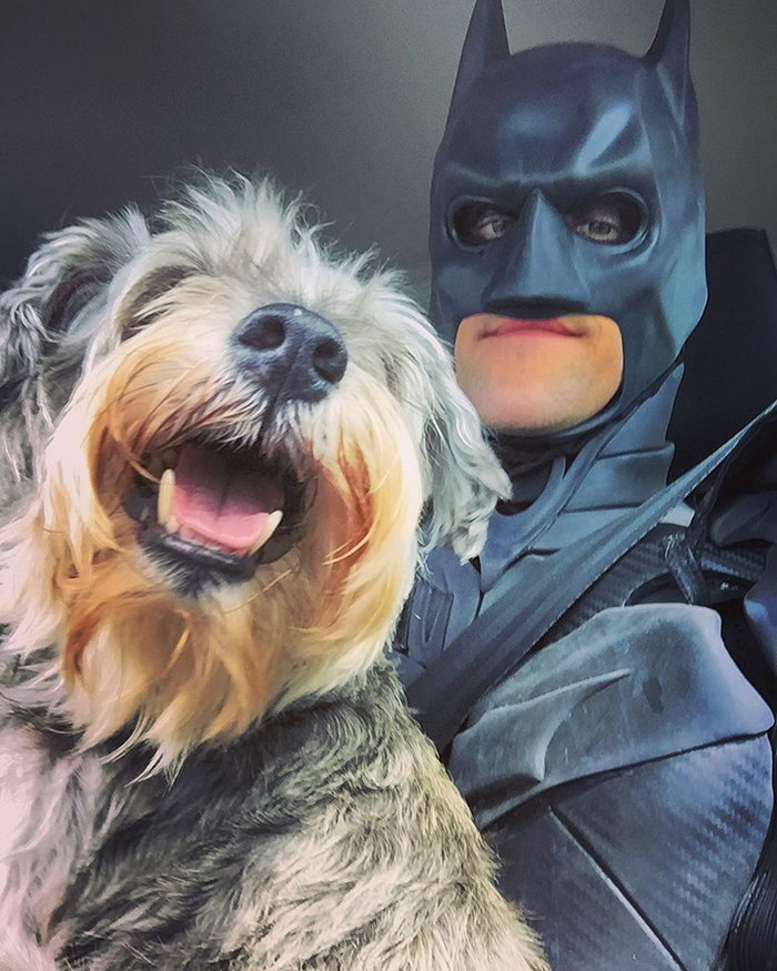 This Guy Dresses Up As Batman To Save Shelter Animals From Euthanasia And Find Them Loving Families