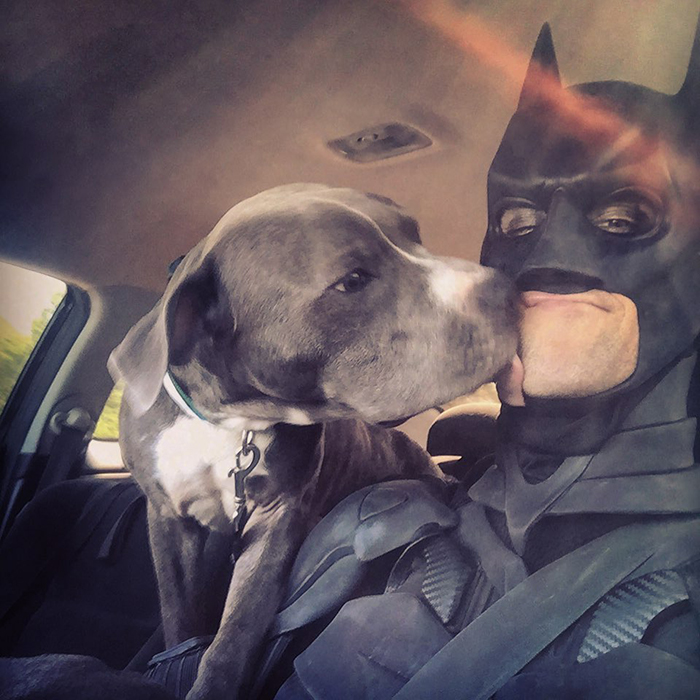 This Guy Dresses Up As Batman To Save Shelter Animals From Euthanasia And Find Them Loving Families This Guy Dresses Up As Batman To Save Shelter Animals From Euthanasia And Find Them Loving Families