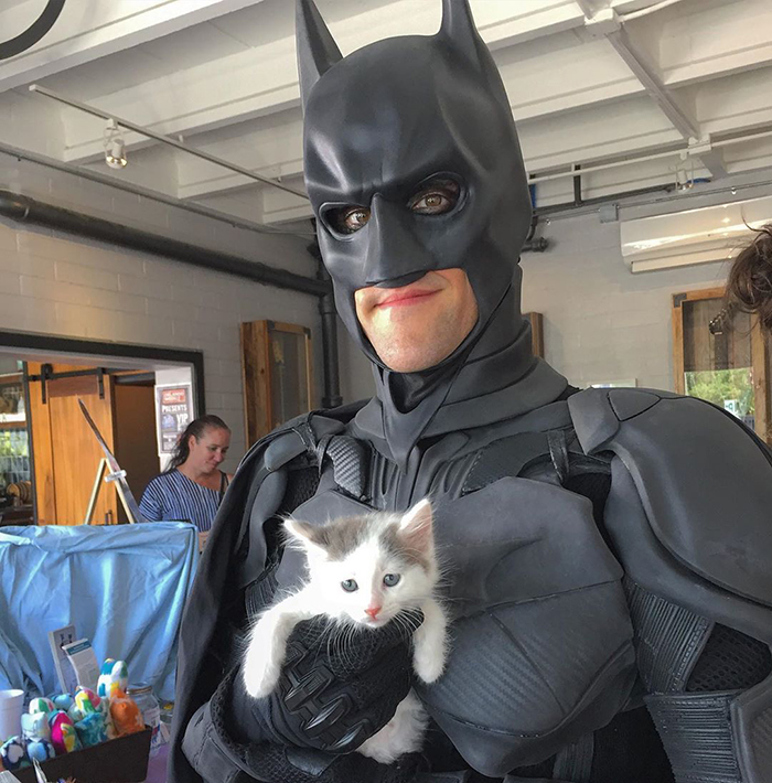This Guy Dresses Up As Batman To Save Shelter Animals From Euthanasia And Find Them Loving Families