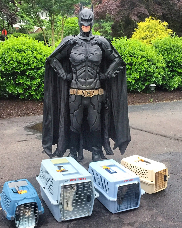 This Guy Dresses Up As Batman To Save Shelter Animals From Euthanasia And Find Them Loving Families