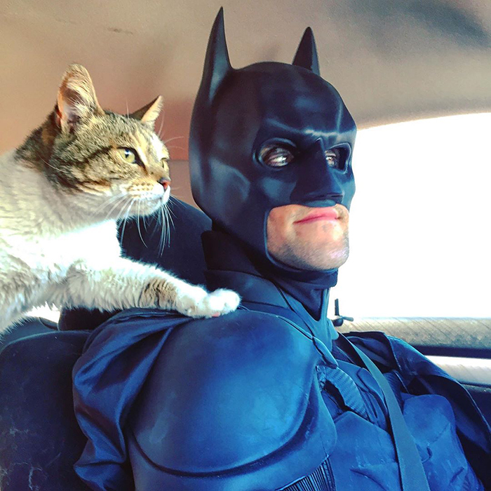 This Guy Dresses Up As Batman To Save Shelter Animals From Euthanasia And Find Them Loving Families This Guy Dresses Up As Batman To Save Shelter Animals From Euthanasia And Find Them Loving Families