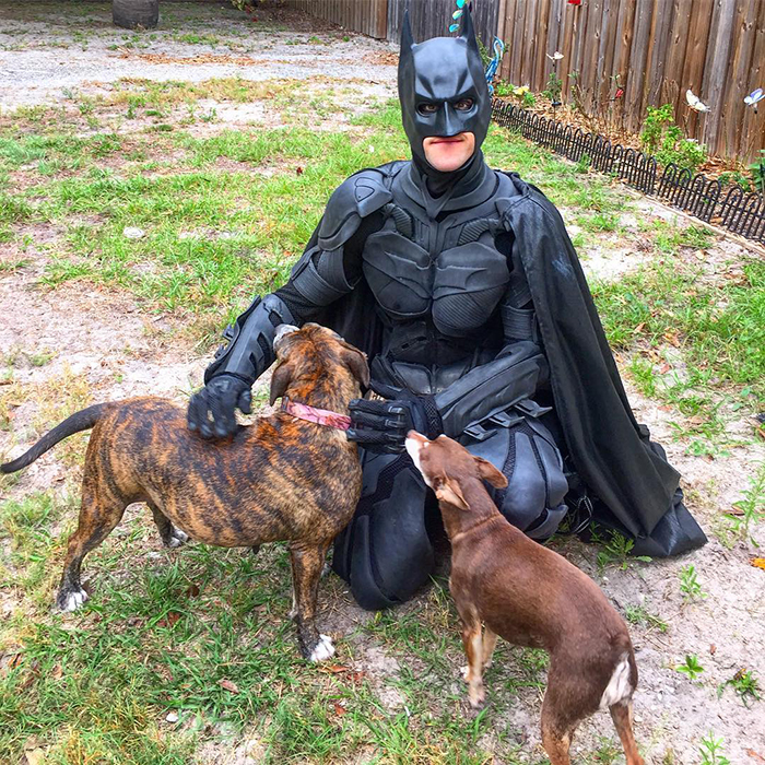 This Guy Dresses Up As Batman To Save Shelter Animals From Euthanasia And Find Them Loving Families