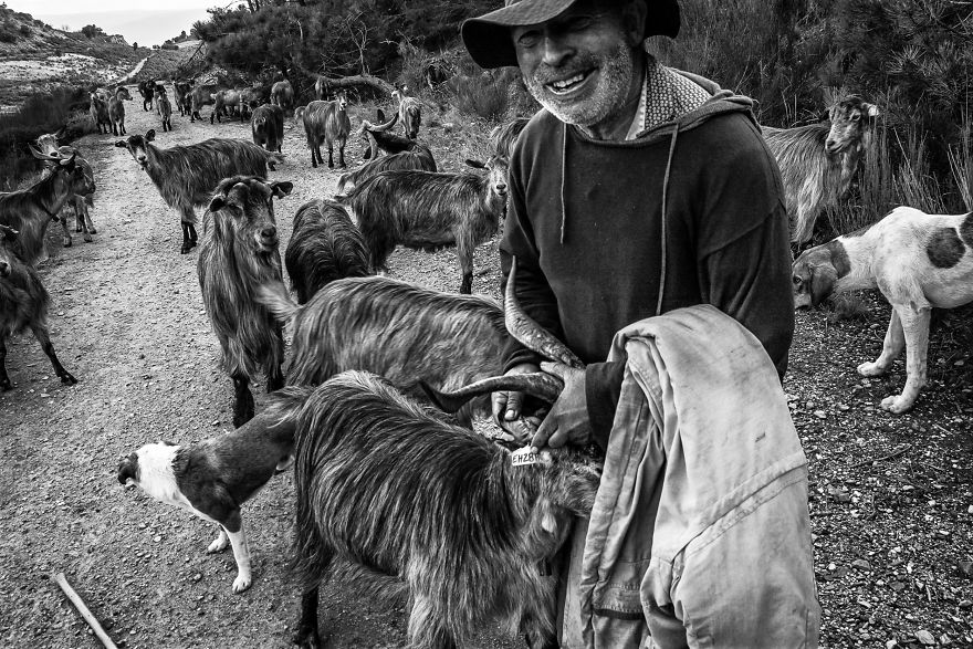 I Photographed The Life Of The Shepherds