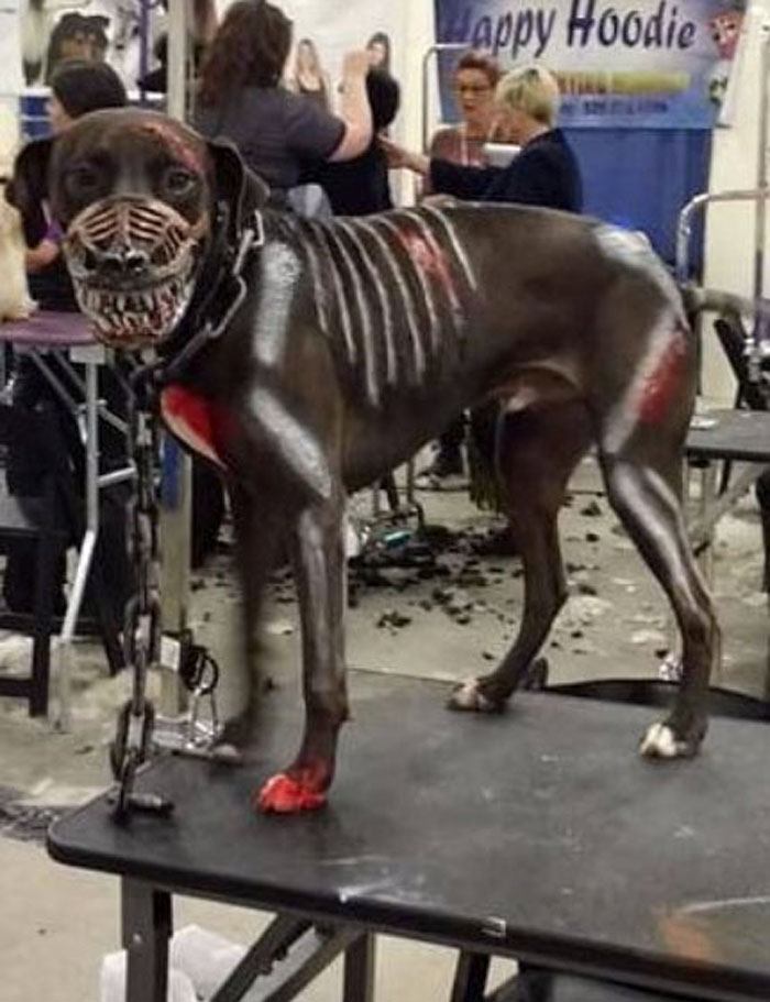 Scary-Dog-Muzzle-Werewolf