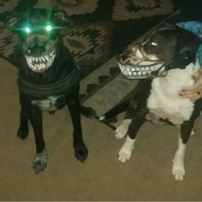 Scary-Dog-Muzzle-Werewolf