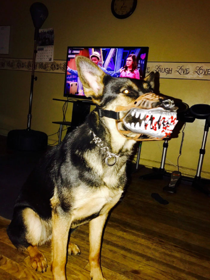 Scary-Dog-Muzzle-Werewolf