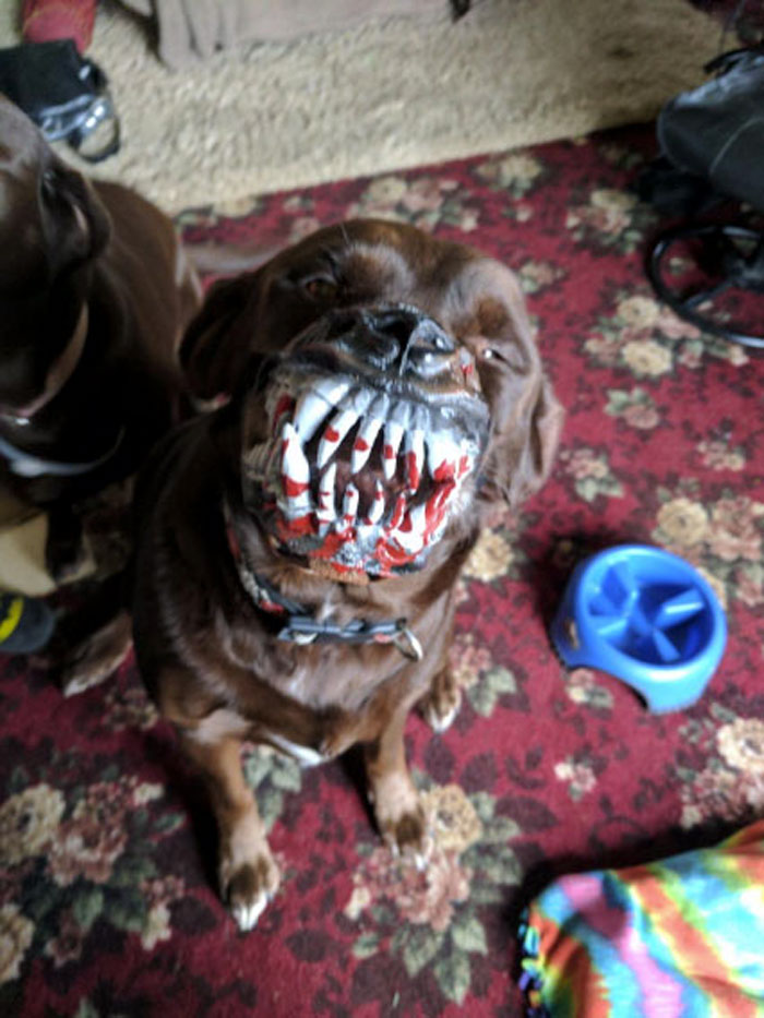 Scary-Dog-Muzzle-Werewolf