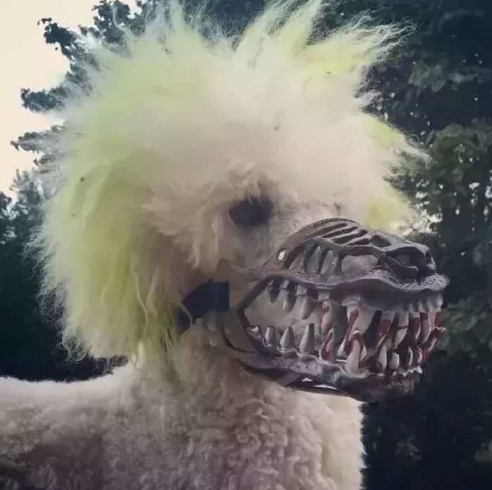 Scary-Dog-Muzzle-Werewolf