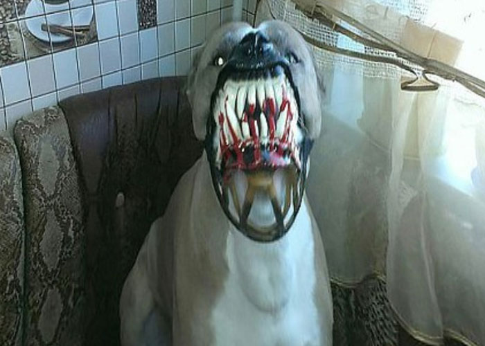 Scary-Dog-Muzzle-Werewolf