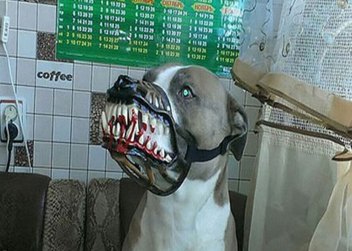 Scary-Dog-Muzzle-Werewolf