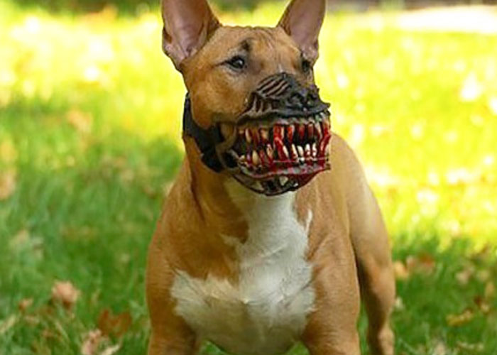 Scary-Dog-Muzzle-Werewolf