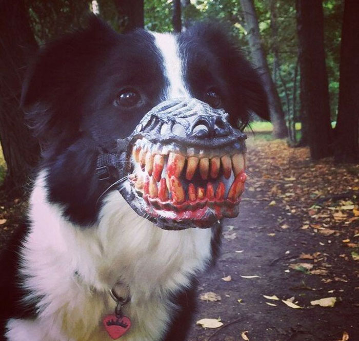 Scary-Dog-Muzzle-Werewolf