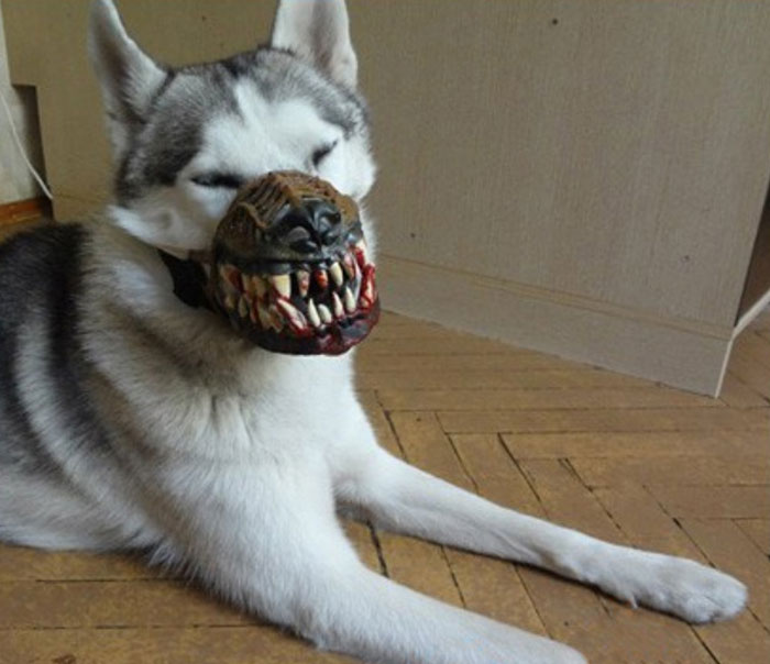 Scary-Dog-Muzzle-Werewolf
