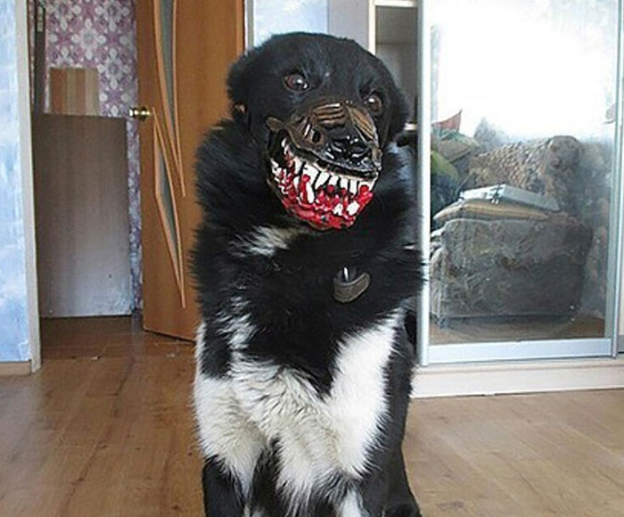 Scary-Dog-Muzzle-Werewolf