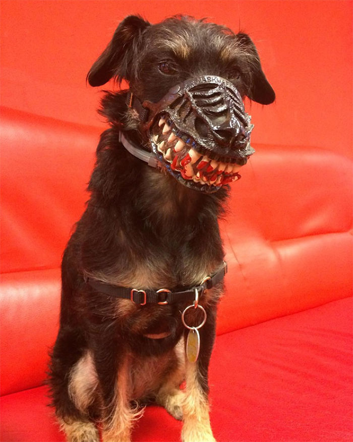 Scary-Dog-Muzzle-Werewolf