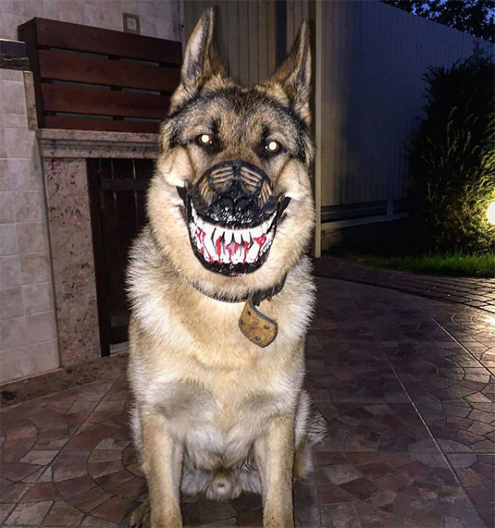 Scary-Dog-Muzzle-Werewolf
