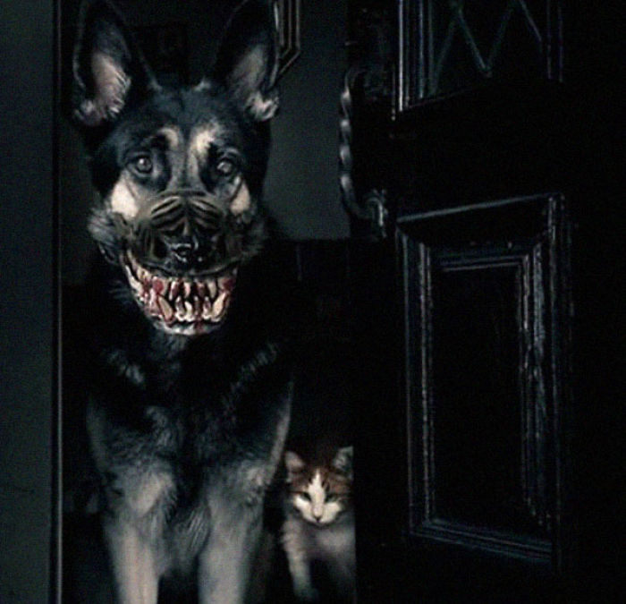 Scary-Dog-Muzzle-Werewolf